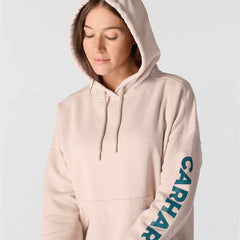 oversized-fit midweight hooded mountain graphic sweatshirt