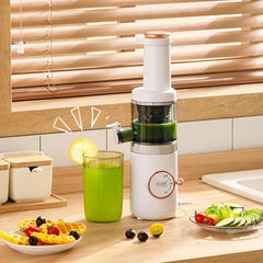 Compact Masticating Slow Juicer, 620ml Electric Cold Press Juicer, Portable Slow Masticating Juicer, 120W Motor, Reverse Function, Easy to Clean, for Citrus, Orange, Fruit, Vegetable