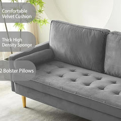 67" Velvet Loveseat Sofa with Gold Metal Legs - Mid-Century Compact 2-Seater Couch with 2 Bolster Pillows | Velvet Upholstered Small Space Sofa for Living Room, Apartment & Bedroom (Grey)