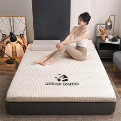 Futon Mattress, Thicken Floor Mattress, Japanese Tatami Pad,Portable Foldable Sleeping Mat, Double Single Mattresses Floor Lounger Bed for Home Dormitory,White,90x190x5cm