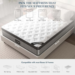 Queen Mattress, 12 Inch Queen Size Hybrid Mattress with Memory Foam and Individual Pocket Spring for Motion Isolation, Pressure Relief, Medium Mattress in a Box (12 Inch, Queen)