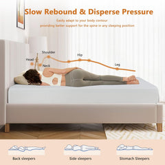 8 Inch Gel Memory Foam Full Size Mattress for Back Pain,Superior Hybrid Lumbar Support Pressure Relief,Zoned Support Spring,CertiPUR-US Certified Medium Firm Bed Mattress in a Box