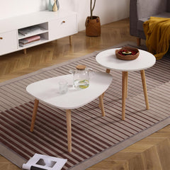 Elegant and Modern Egg Shape Coffee Table for Living Room, Stylish Design, Easy Installation, White and Oak Finish