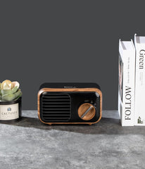 Heaters Indoor Portable with Thermostat, High Efficiency Heating of Carbon Brazed Tubes Heater for Bedroom, Office and Indoor Use