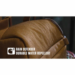 insulated 12 can two compartment lunch cooler