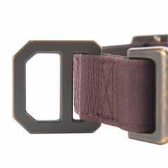 nylon duck dog collar