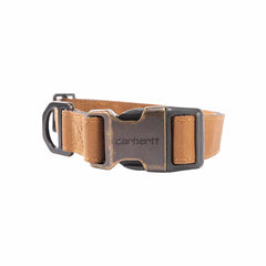 field dog collar