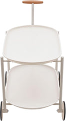 CNCEST Home Bar, Serving Cart with 2 Mirrored Shelves, Furniture Rolling Bar Cart for Kitchen, Dining Room (63x42x64.5cm-Green)