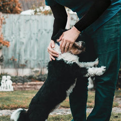 Protective Arm Sleeves, Cut Heat Resistant Arm Protectors Anti Abrasion Safety Armband for Garden Kitchen Work 1 Pair