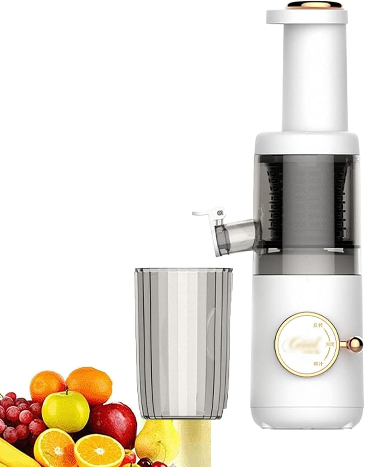 Compact Masticating Slow Juicer, 620ml Electric Cold Press Juicer, Portable Slow Masticating Juicer, 120W Motor, Reverse Function, Easy to Clean, for Citrus, Orange, Fruit, Vegetable