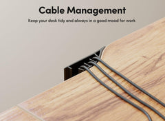 BANTI 44"x24"Electric Standing Desk, Stand up Height Adjustable Home Office Table, Sit Stand Desk with Splice Board, Light Rustic Brown Top