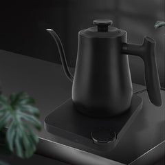 BAFOVY 1L Gooseneck Electric Kettle, Variable Temperature Control, 1200W Quick Heating, Stainless Steel Built, 60 min Keep Warm, Dry Boil Protection, High Definition Display, (US Plug 110V)