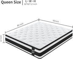 Queen Mattress, 12 Inch Hybrid Mattress, in a Box with Memory Foam Individual Pocket Spring, Motion Isolation/Pressure Relieving/Edge Support/CertiPUR-US Certified | Medium Firm (Queen)