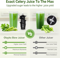 Juicer Machine,Slow Masticating Juicer with 2 Speed Modes &Portable Induction Cooktop