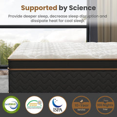 10 Inch Hybrid Mattress with Gel Memory Foam, Fiberglass-Free Mattress for Twin Size, Pocket Spring Support & Motion Isolation, Plush Medium Firm Comfort for Bedroom (Twin)