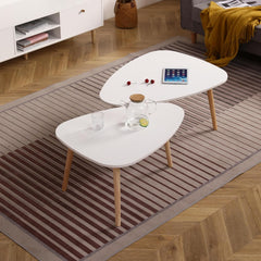 Elegant Modern Egg Shape Coffee Table for Living Room, Ample Surface Space, Sleek Design, White and Oak Finish