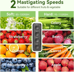 Juicer Machine,Slow Masticating Juicer with 2 Speed Modes &Portable Induction Cooktop