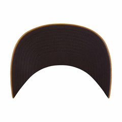 cleveland guardians '47 trucker