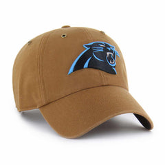 carolina panthers '47 clean up