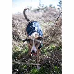 quick duck fleece-lined dog jac