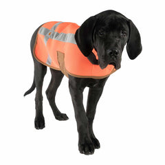 dog safety vest