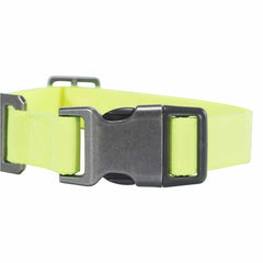 nylon duck dog collar